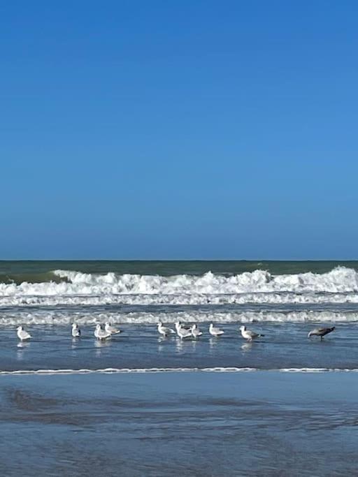 Charmante Maison Individuelle Proche Du Touquet Кюк Екстер'єр фото